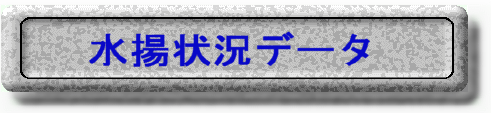 g󋵃f[^